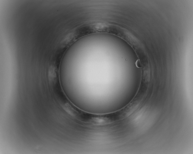 X0000113350654200909151154