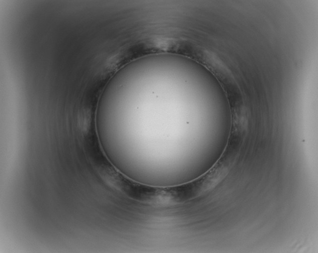 X0000113350656200909151154