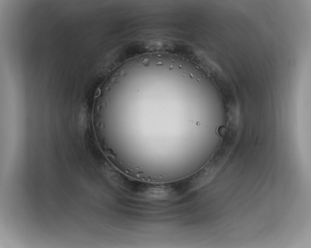 X0000113350659200909151154