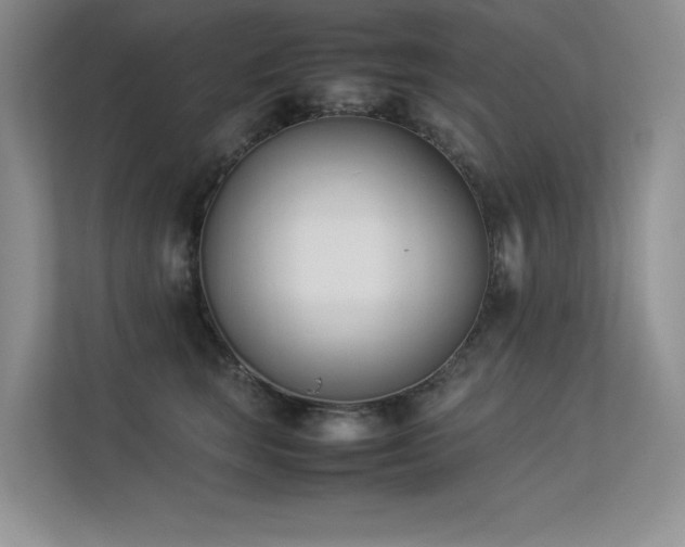 X0000113350663200909151154