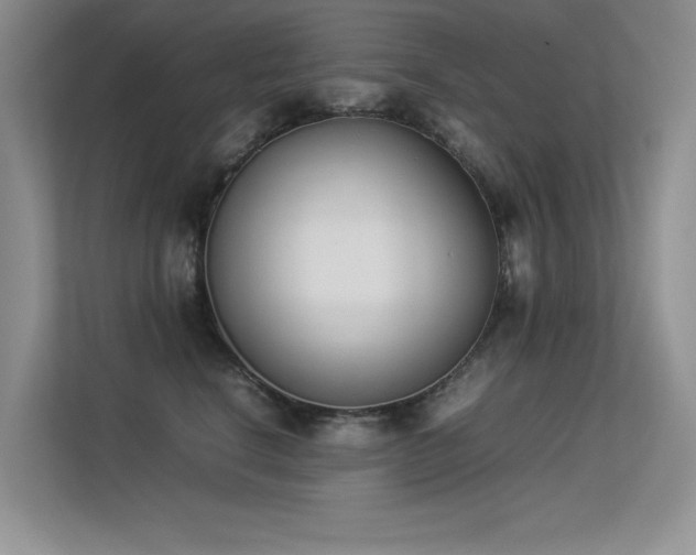 X0000113350664200909151154