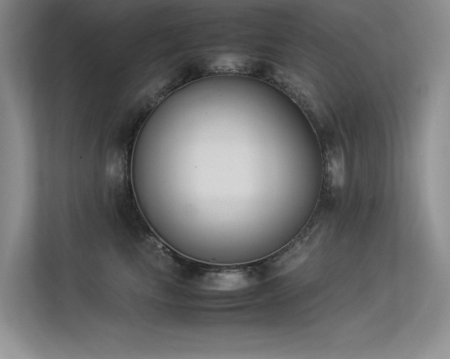 X0000113350665200909151154