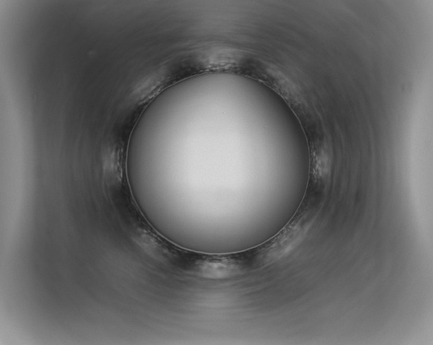 X0000113350666200909151154