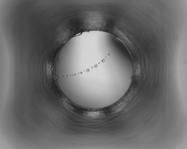 X0000113350669200909151155