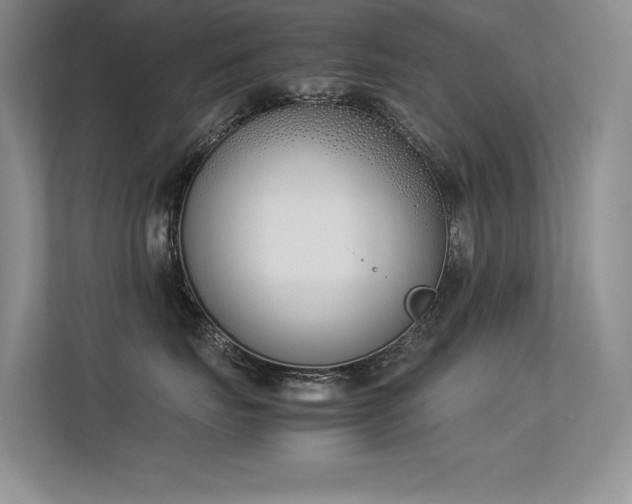 X0000113350671200909151155