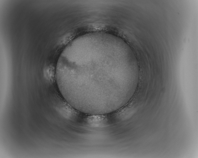 X0000113350672200909151155
