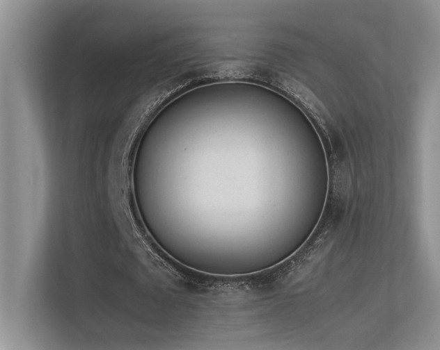 X0000113350673200909151154