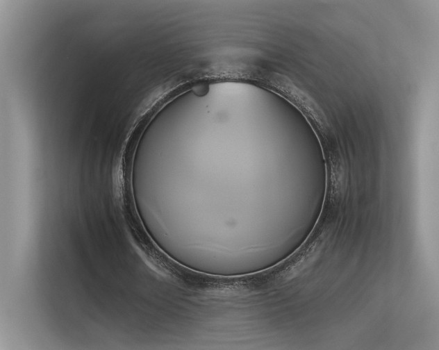 X0000113350674200909151154
