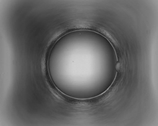 X0000113350677200909151154