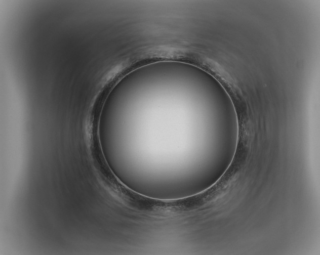 X0000113350679200909151154