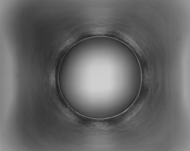 X0000113350681200909151154