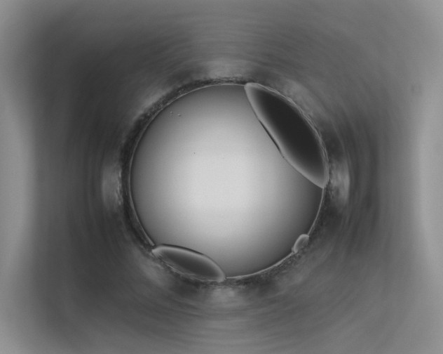 X0000113350684200909151154
