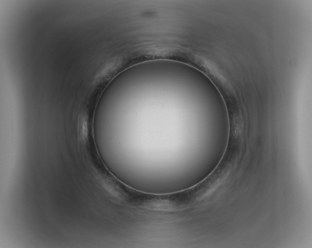 X0000113350685200909151154