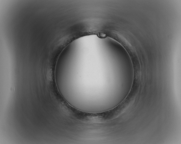 X0000113350689200909151154