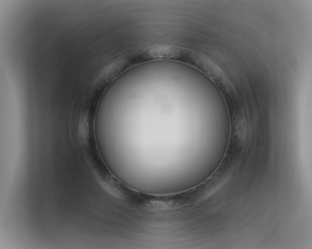X0000113350690200909151154