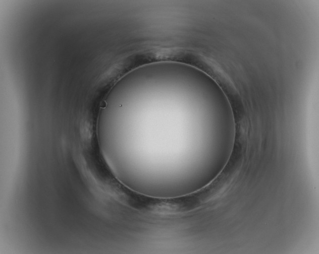 X0000113350691200909151154