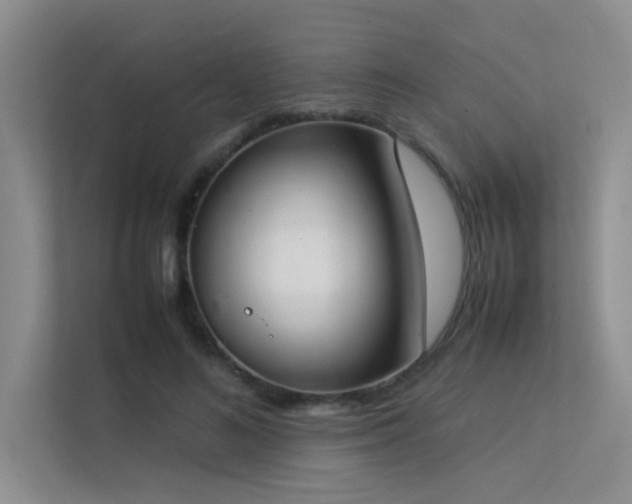 X0000113350692200909151154