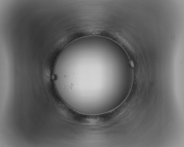 X0000113350693200909151154