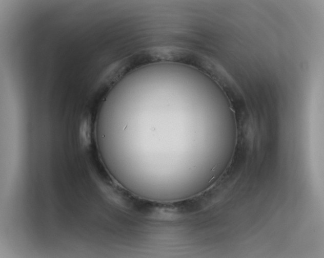 X0000113350694200909151154