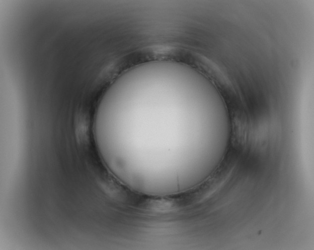 X0000113350698200909151154