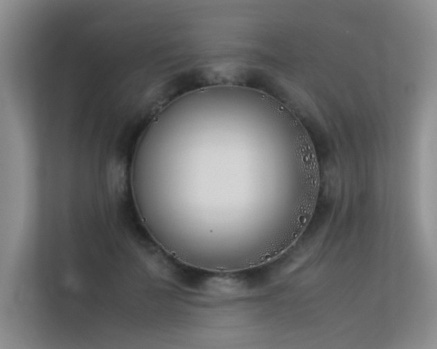 X0000113350699200909151154
