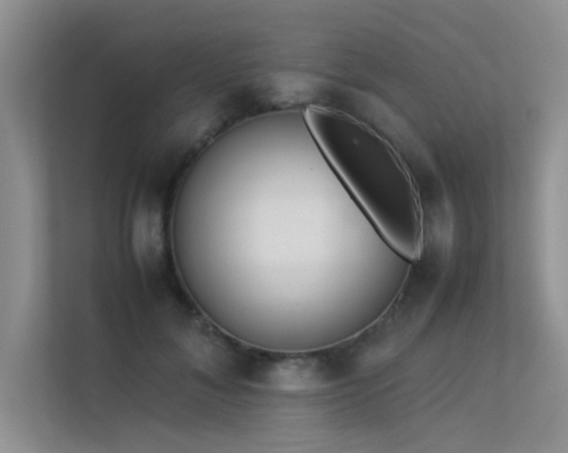 X0000113350700200909151154