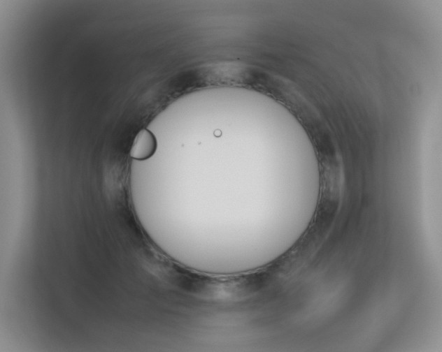 X0000113350701200909151154