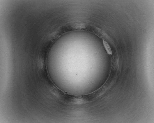 X0000113350704200909151154