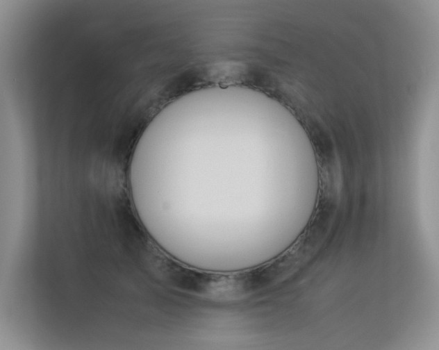 X0000113350705200909151154