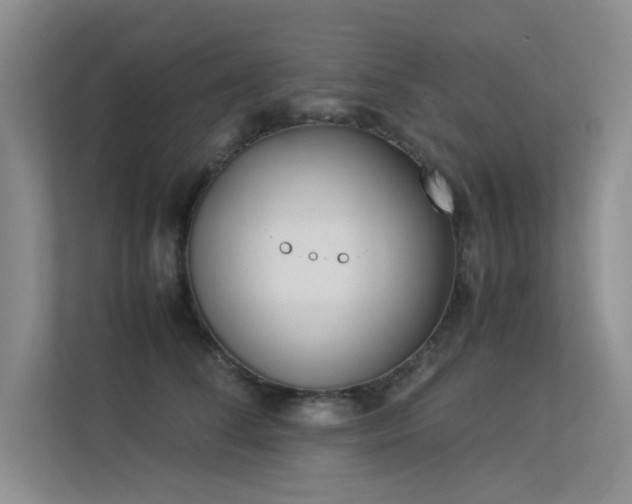 X0000113350708200909151153