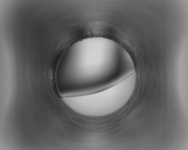 X0000113350709200909151153