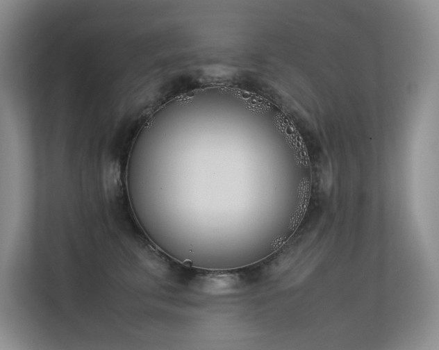X0000113350711200909151153