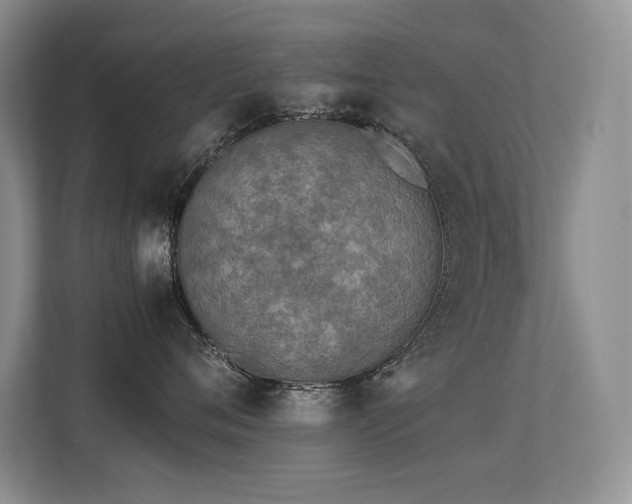 X0000113350720200909151153