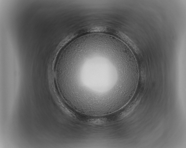 X0000113350721200909151153