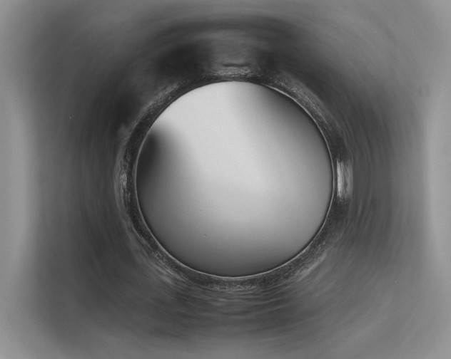 X0000113350723200909151153