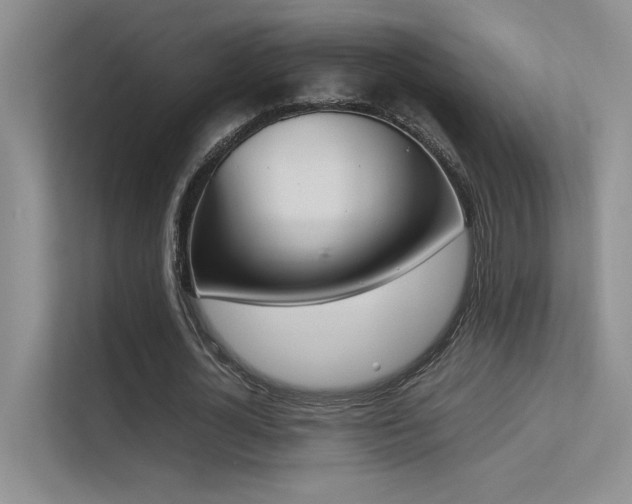X0000113350724200909151153