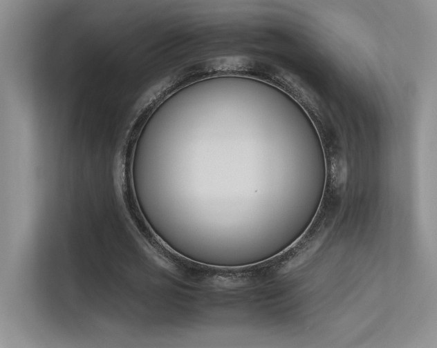 X0000113350725200909151153
