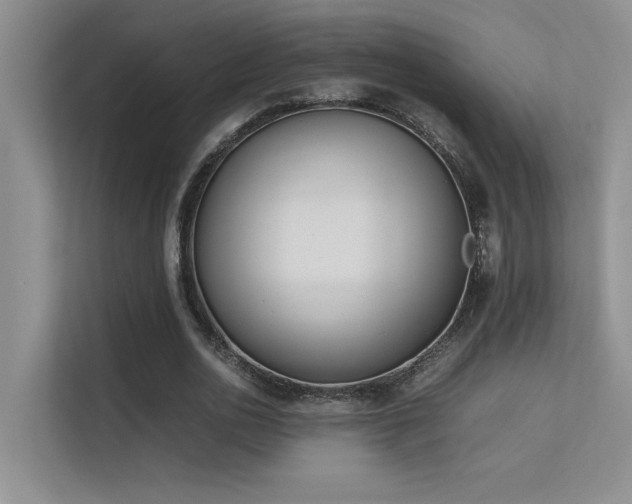 X0000113350726200909151153
