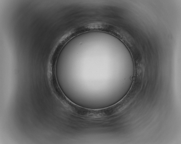 X0000113350727200909151153