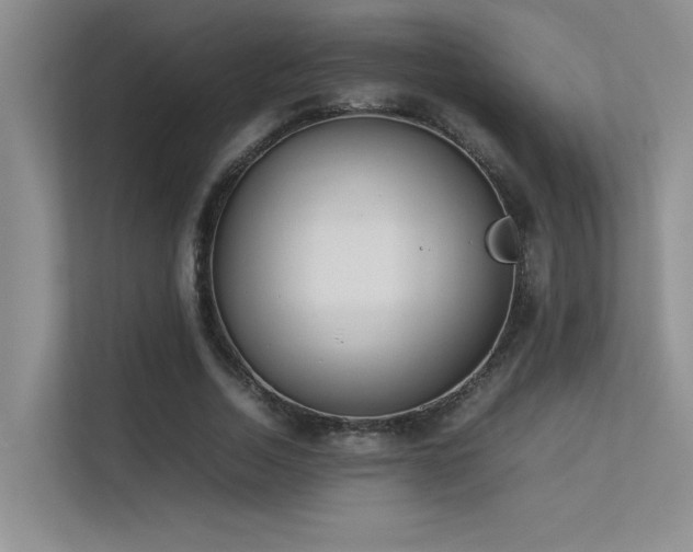 X0000113350730200909151153