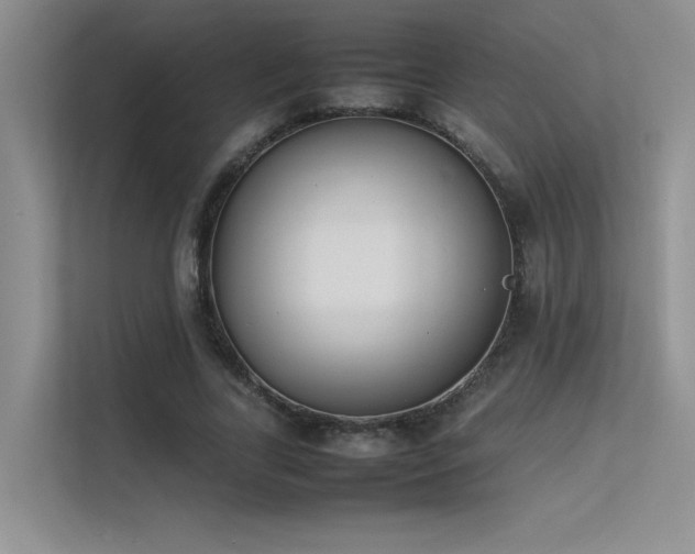 X0000113350731200909151153