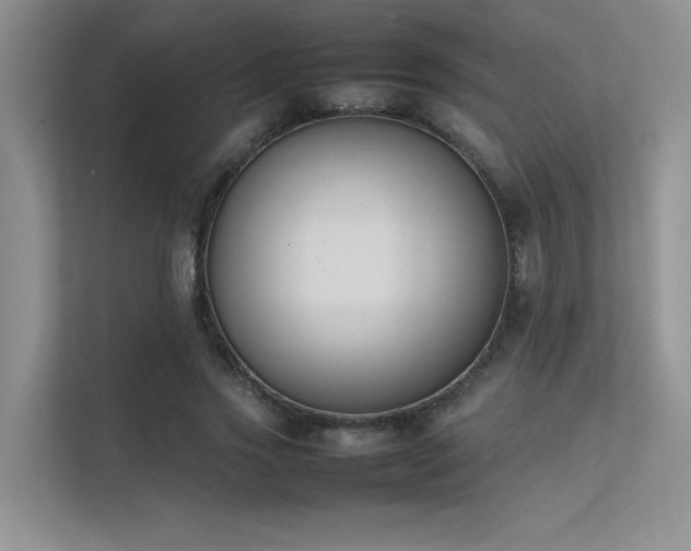 X0000113350733200909151153