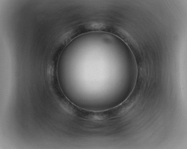 X0000113350739200909151153