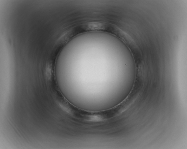 X0000113350741200909151153