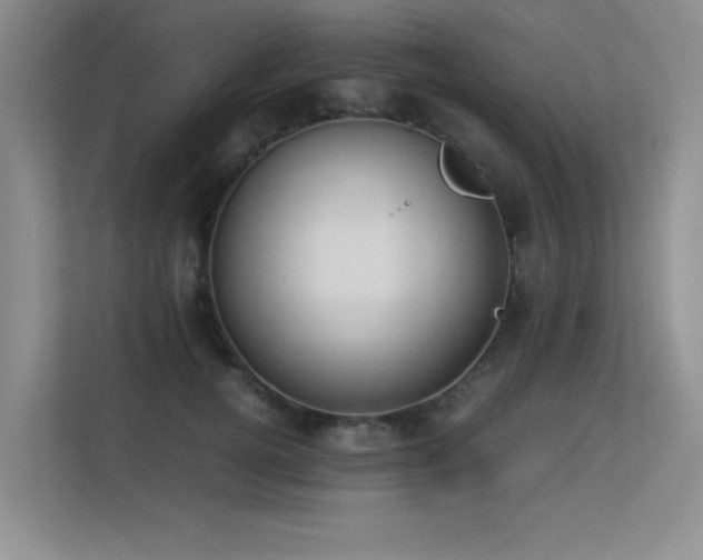 X0000113350752200909151153