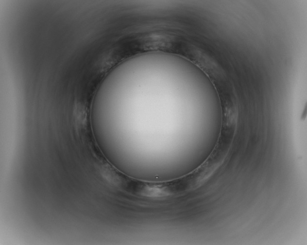 X0000113350753200909151153
