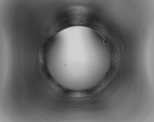 X0000113350755200909151153