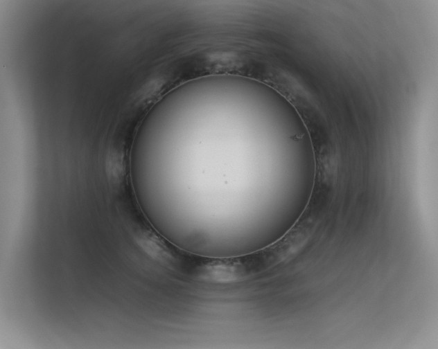 X0000113350756200909151153