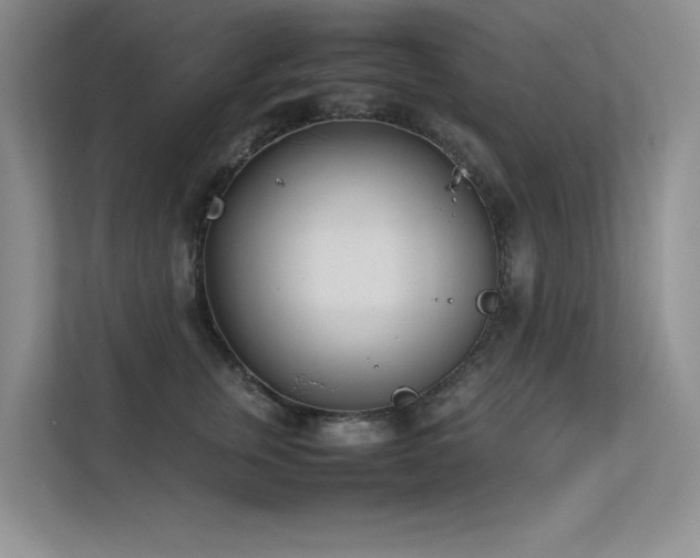 X0000113350759200909151153