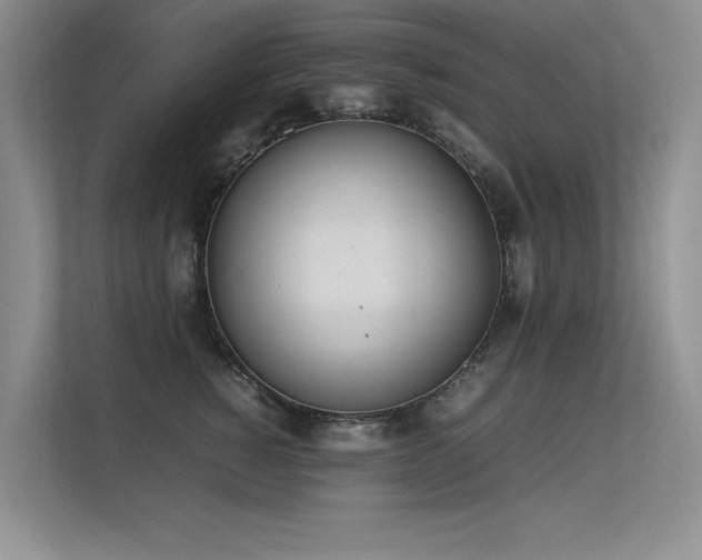 X0000113350760200909151153